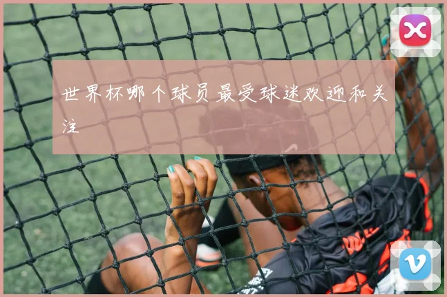 世界杯哪个球员最受球迷欢迎和关注