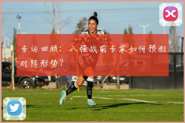 专访回顾:八强战前专家如何预测对阵形势?