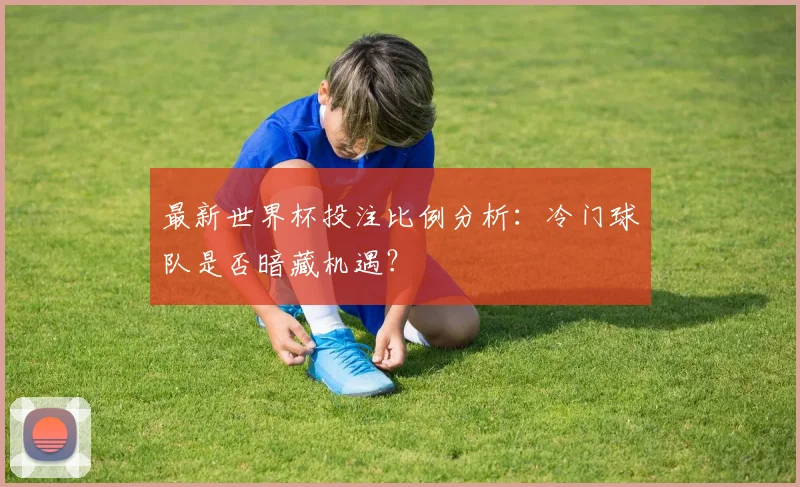最新世界杯投注比例分析：冷门球队是否暗藏机遇？