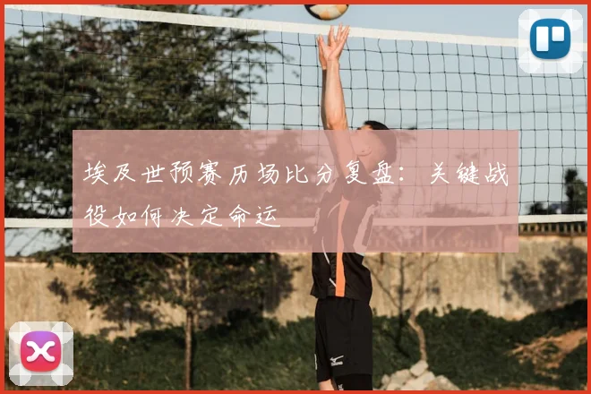埃及世预赛历场比分复盘：关键战役如何决定命运