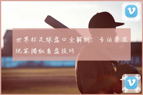 世界杯足球盘口全解析:专访资深玩家揭秘看盘技巧