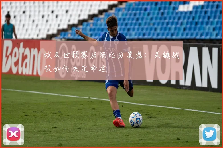 埃及世预赛历场比分复盘：关键战役如何决定命运